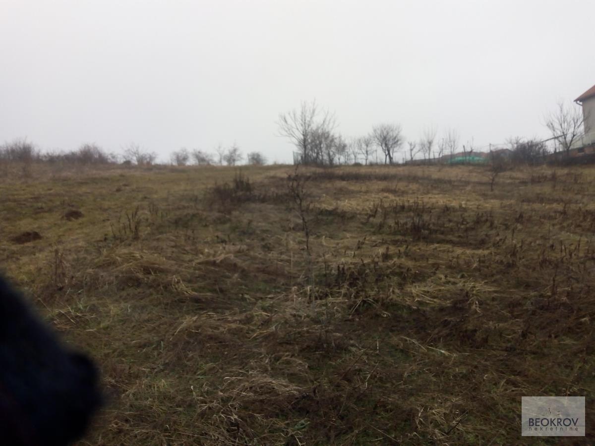 Dozvoljena gradnja:96,62Ar