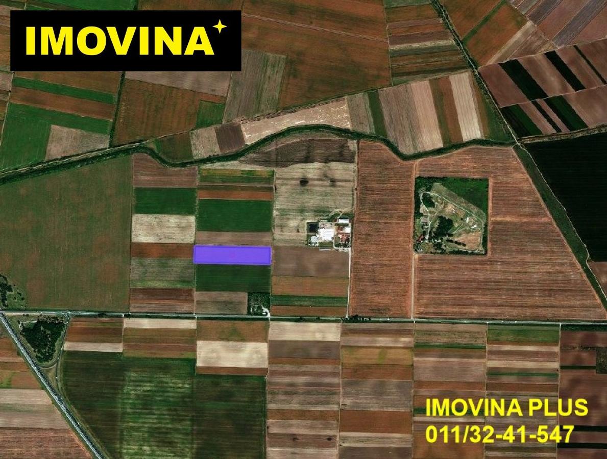 Stara Pazova - Stari Banovci, 6.5ha