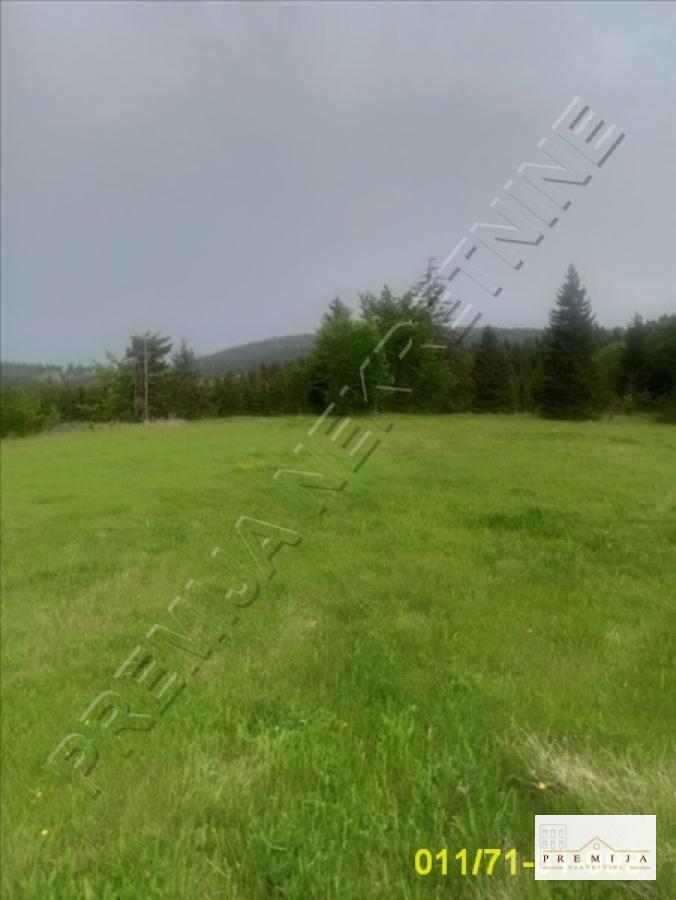Mokra Gora, Zaovine, 51 ar