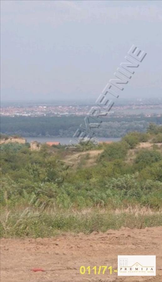 plac Višnjička banja, Nedeljka Košanina, 4,7 ara