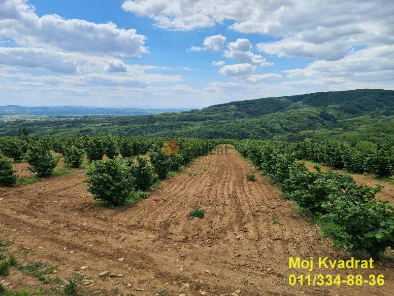 Mladenovac, Kosmaj - Oglavci, plac 9ha