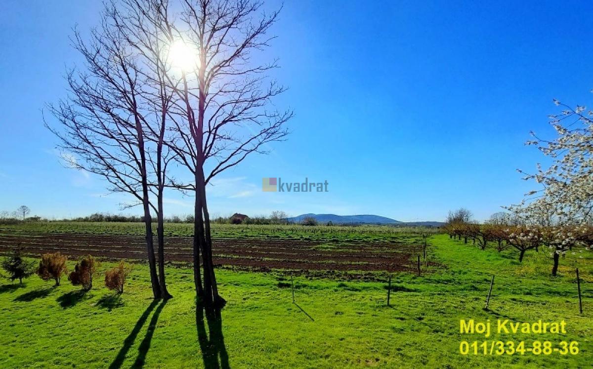 Mladenovac, Mala Vrbica - Gajska, 237.17 ari