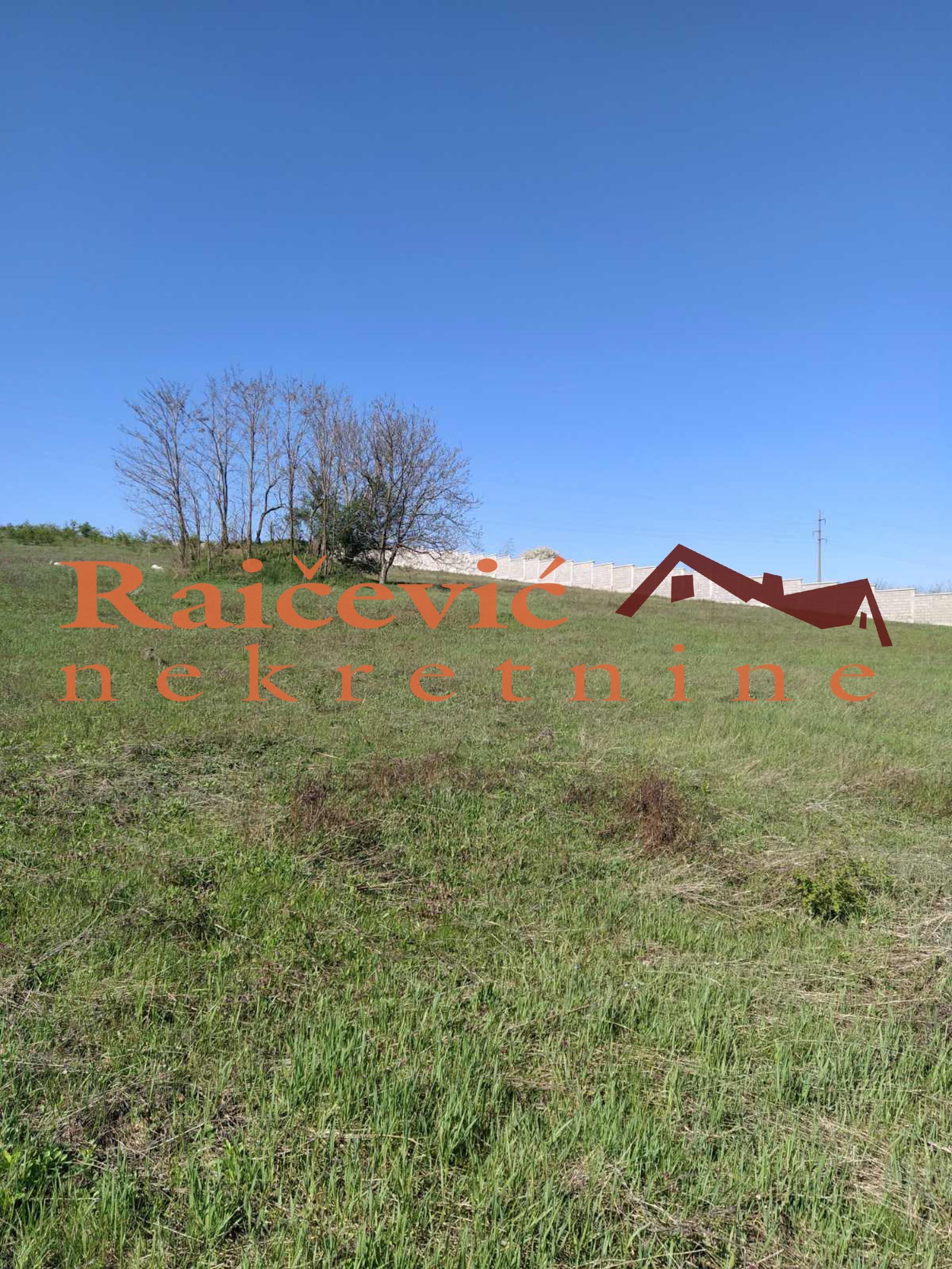 VOZDOVAC RIPANJ 9479m2 , 41000e