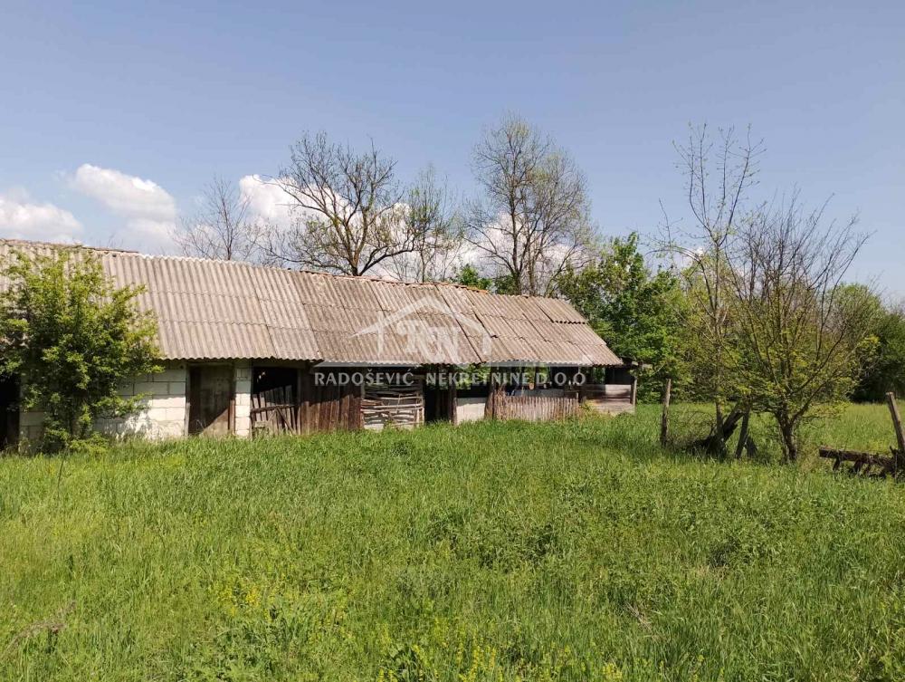 Prodaja placa, Dučina, Kosmaj ID#1475