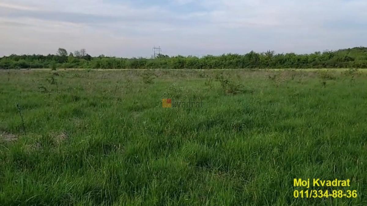 Obrenovac, Draževac - Potes Lug do puta, 54.73a