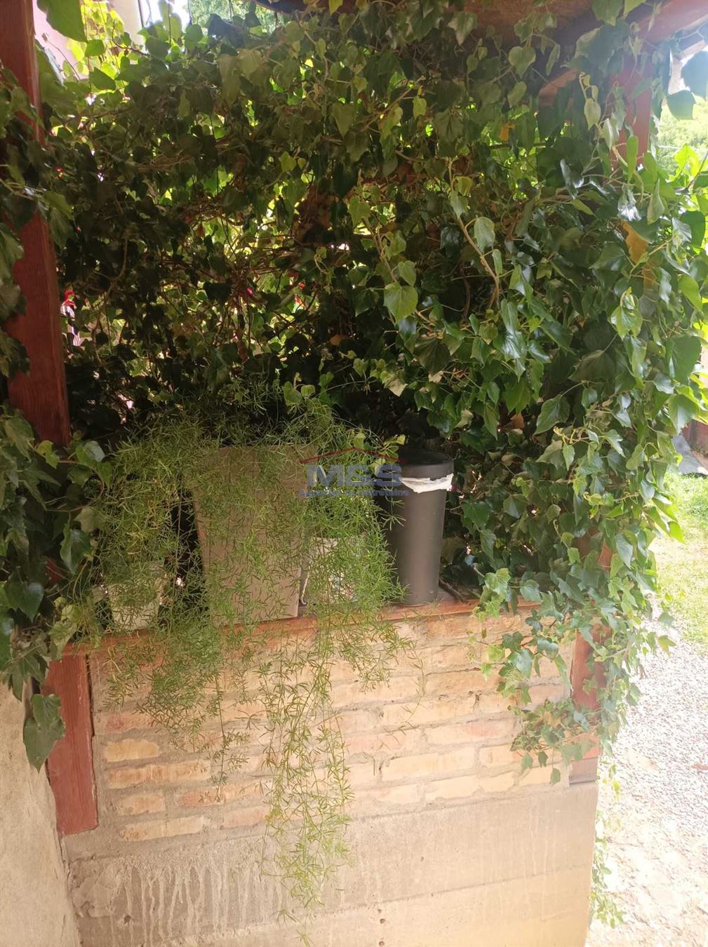 Fruška Gora, Jazak