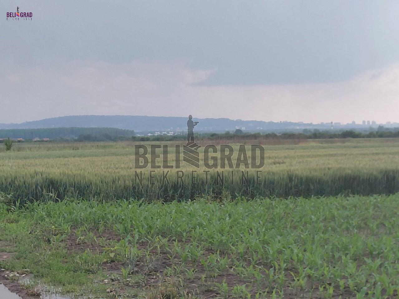 Ovča - La Morminc - odlična lokacija