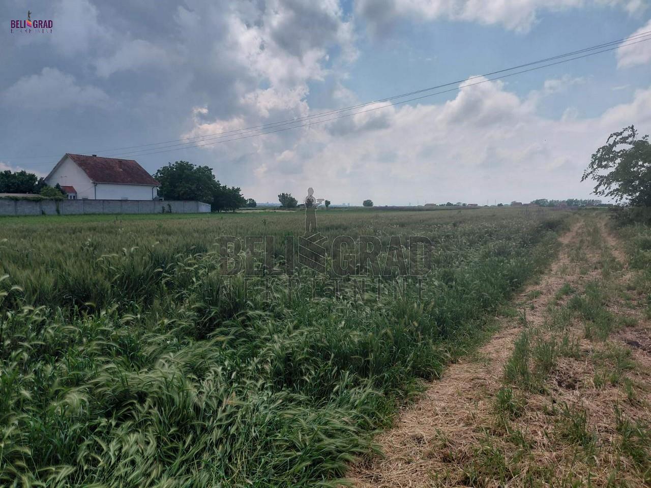 Ovča, La Morminc-odlična lokacija 84 ara