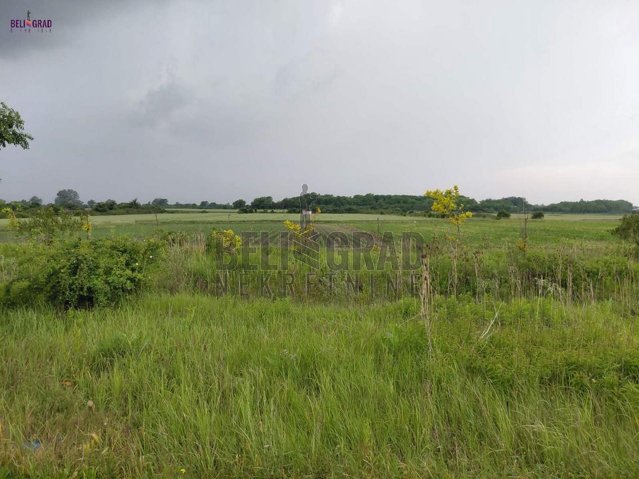 Ovča, Devedeset lanaca, plac