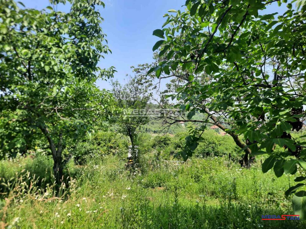 Slanci-poljoprivredno zemljište