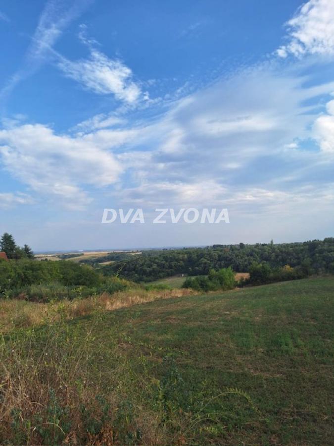 Plac Čortanovci-Izuzetna prilika –  € za 22 ara uz asfalt!
