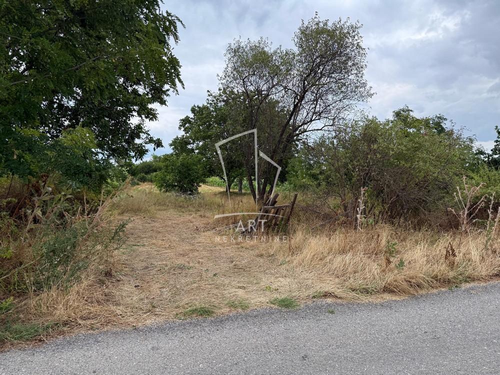 Plac sa izlaskom na Dunav ID#11525