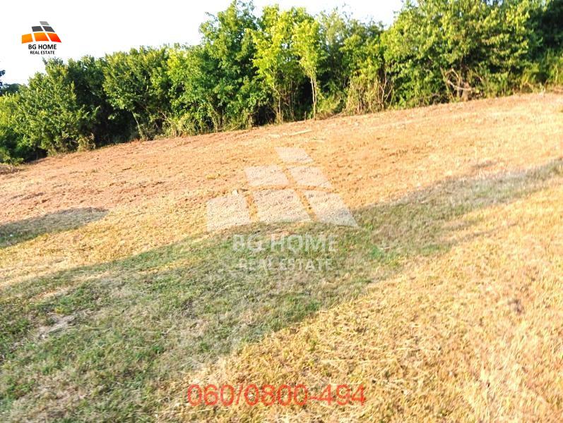 Plac od 7.78 ara-Surčin-Ključ, Sremskih bećara ID#3404