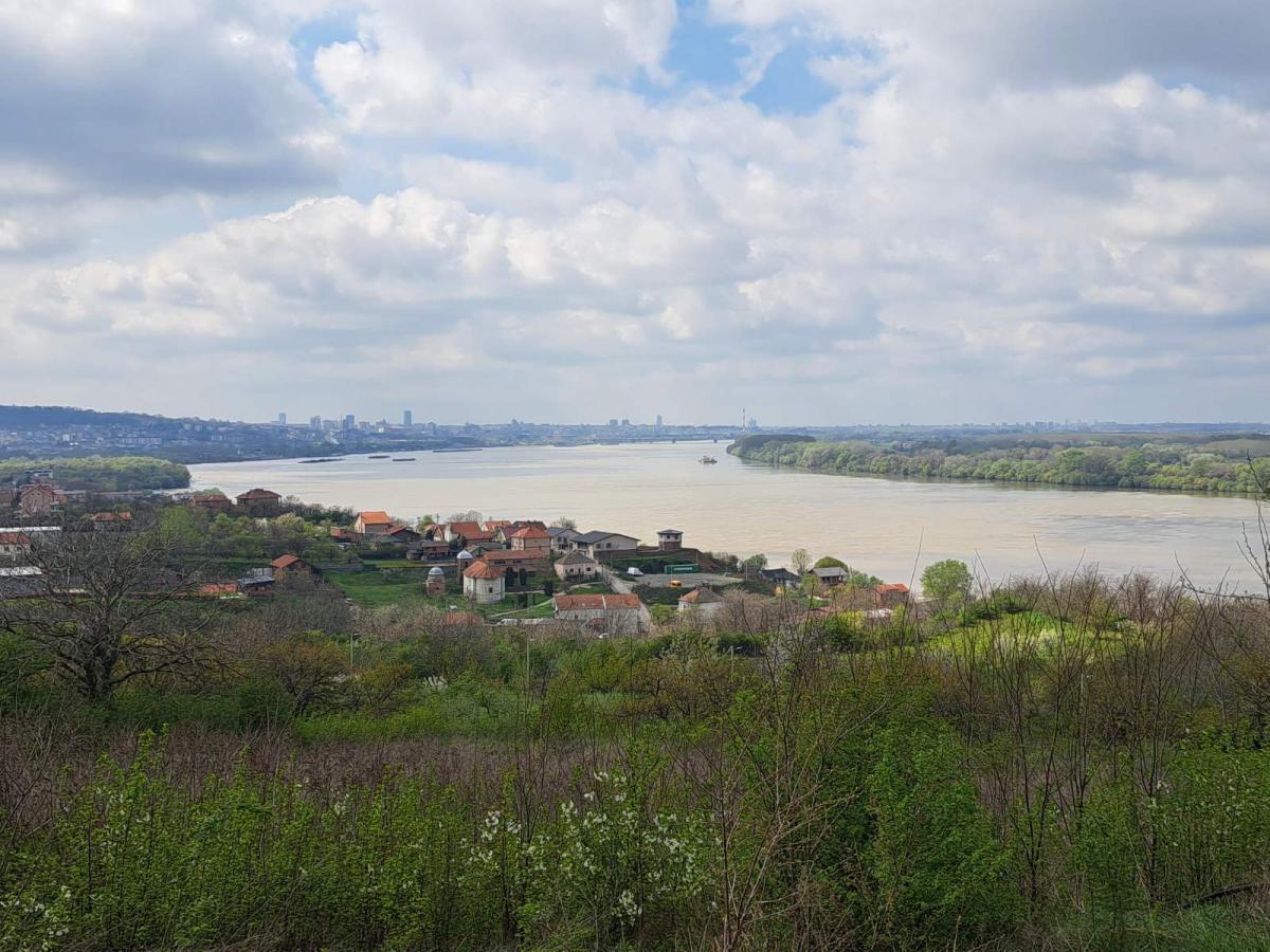 Plac, Višnjica, gradsko građevinsko zemljište, 34,5 ari