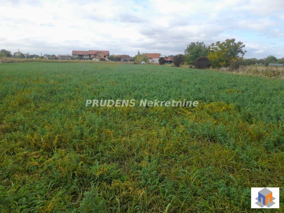 Veliki plac u Dobanovcima