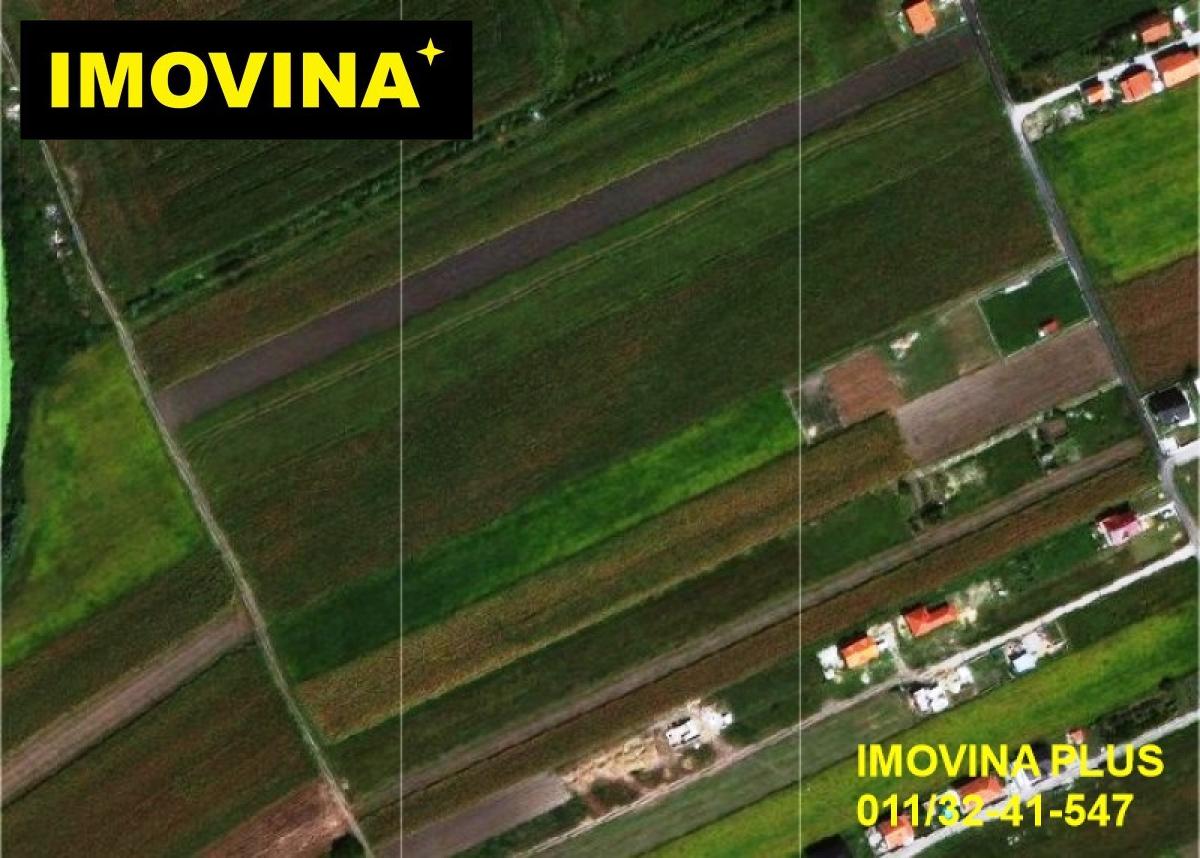 Palilula, Borča, plac, 10a