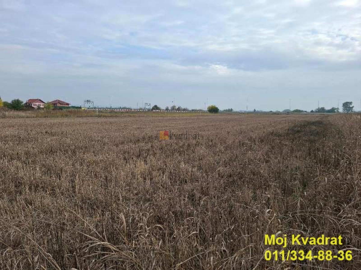 Novi Beograd, Stara Bežanija - Ane Bešlić, 20a