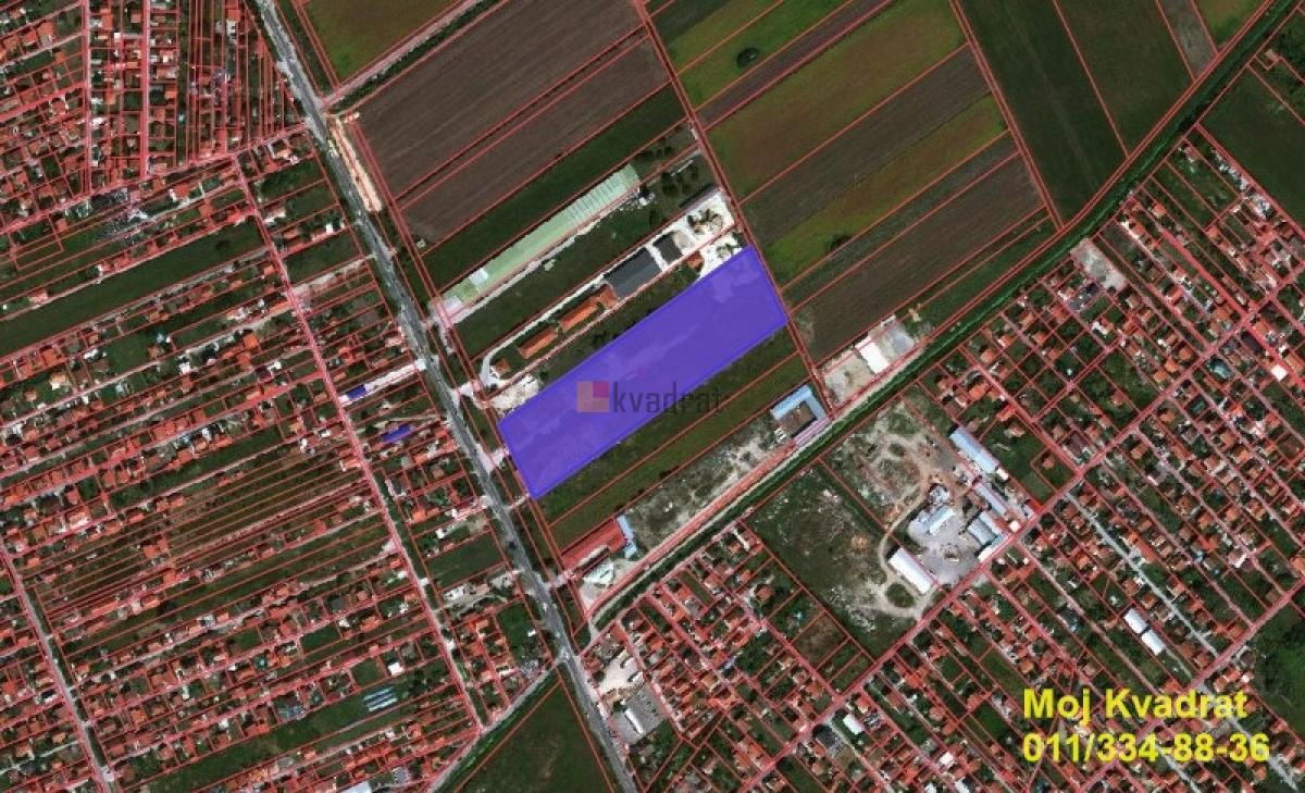 Palilula, Borča - Zrenjaninski put, 136a