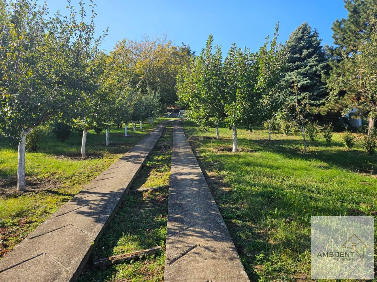 Stari Slankamen  kuca retko u ponudi , 15 ari placa veliki vocnjak