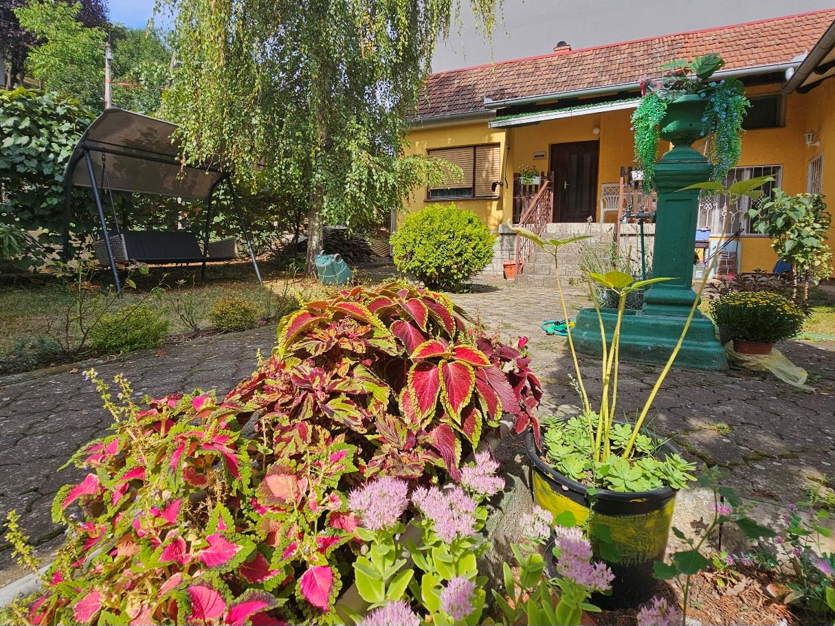 kuća, IRIG, FRUŠKA GORA, VRDNIK, 181m2 na 5 ari