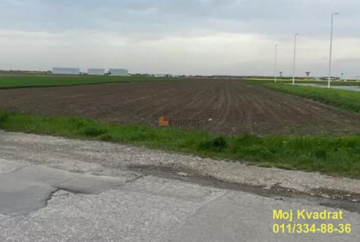 Zemun - Grmovac, 111.60 ari