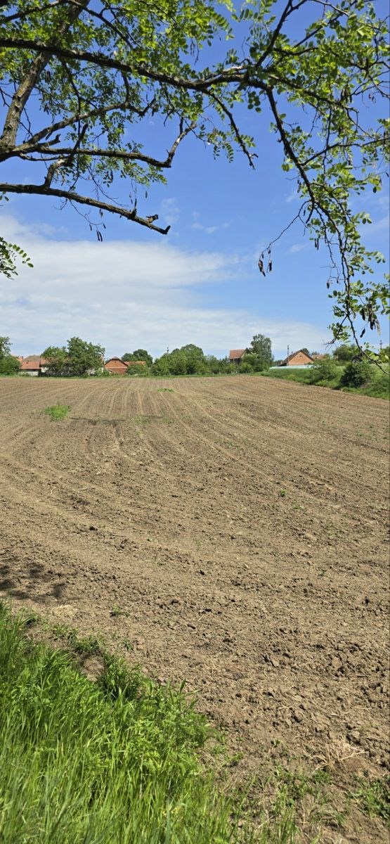 Barajevo-Lisović, 84,5, građ.zemljište, uknjižen