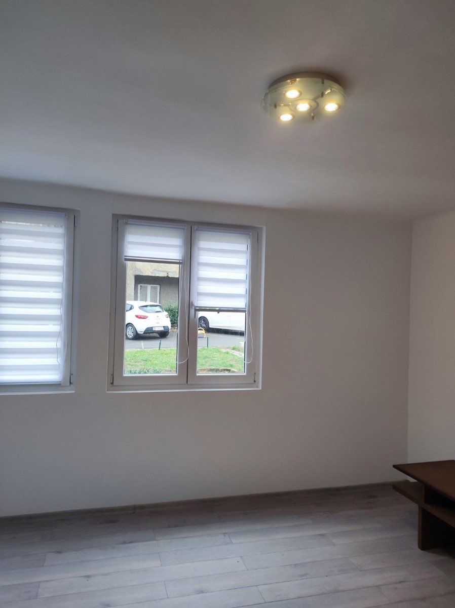 Banovo bedo 1,5 45m2, renoviran, parking