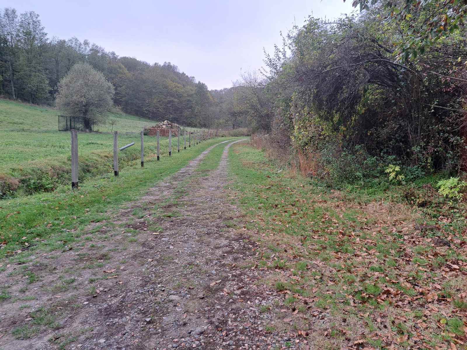 Barajevo-Guncati, šuma 19,5 ari