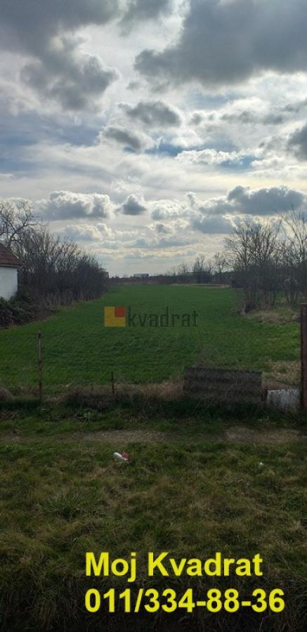 Stara Pazova, Krnješevci - Ugrinovačka, 54.68 ari