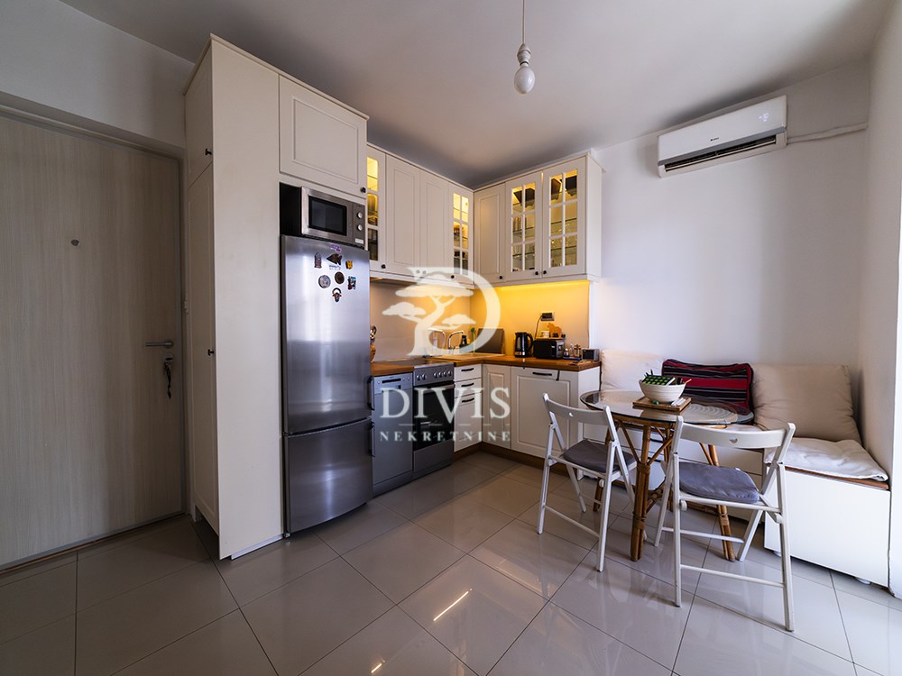 Svetao stan u Mileševskoj, blizu Crvenog krsta, 42m2