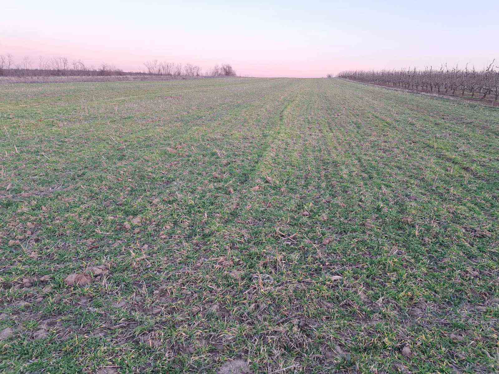 Grocka-Kamendol, 1,2 hektara, uknjižen