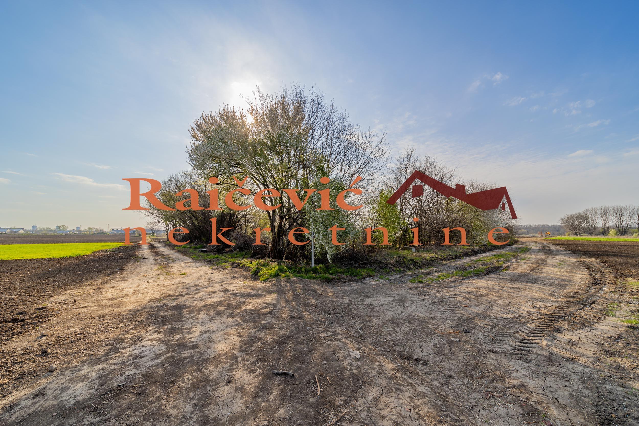 ZEMUN PLAVI HORIZONTI 7700m2 , 616000e