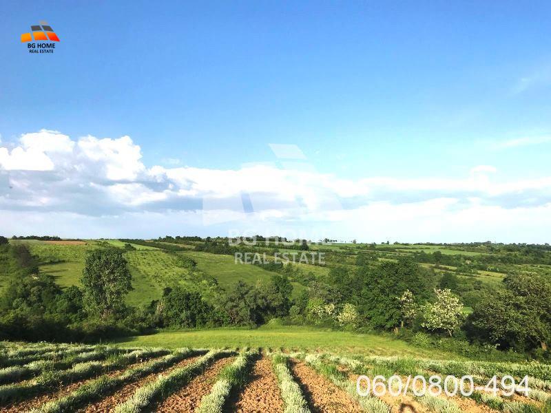 Plac na Kosmaju-Mladenovac-Velika Ivanča ID#3677