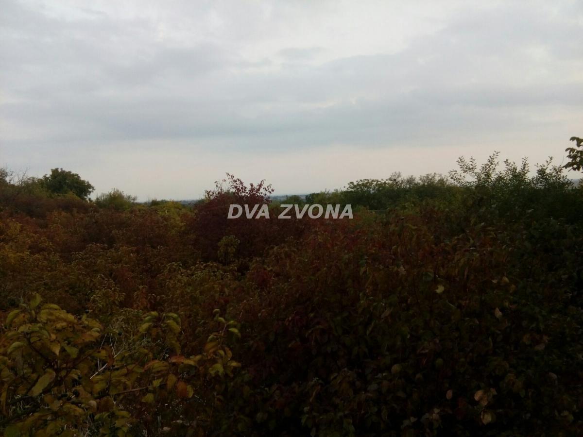 PLAC SA VIKEND OBJEKTOM – NOVI SLANKAMEN – FRONT 40m