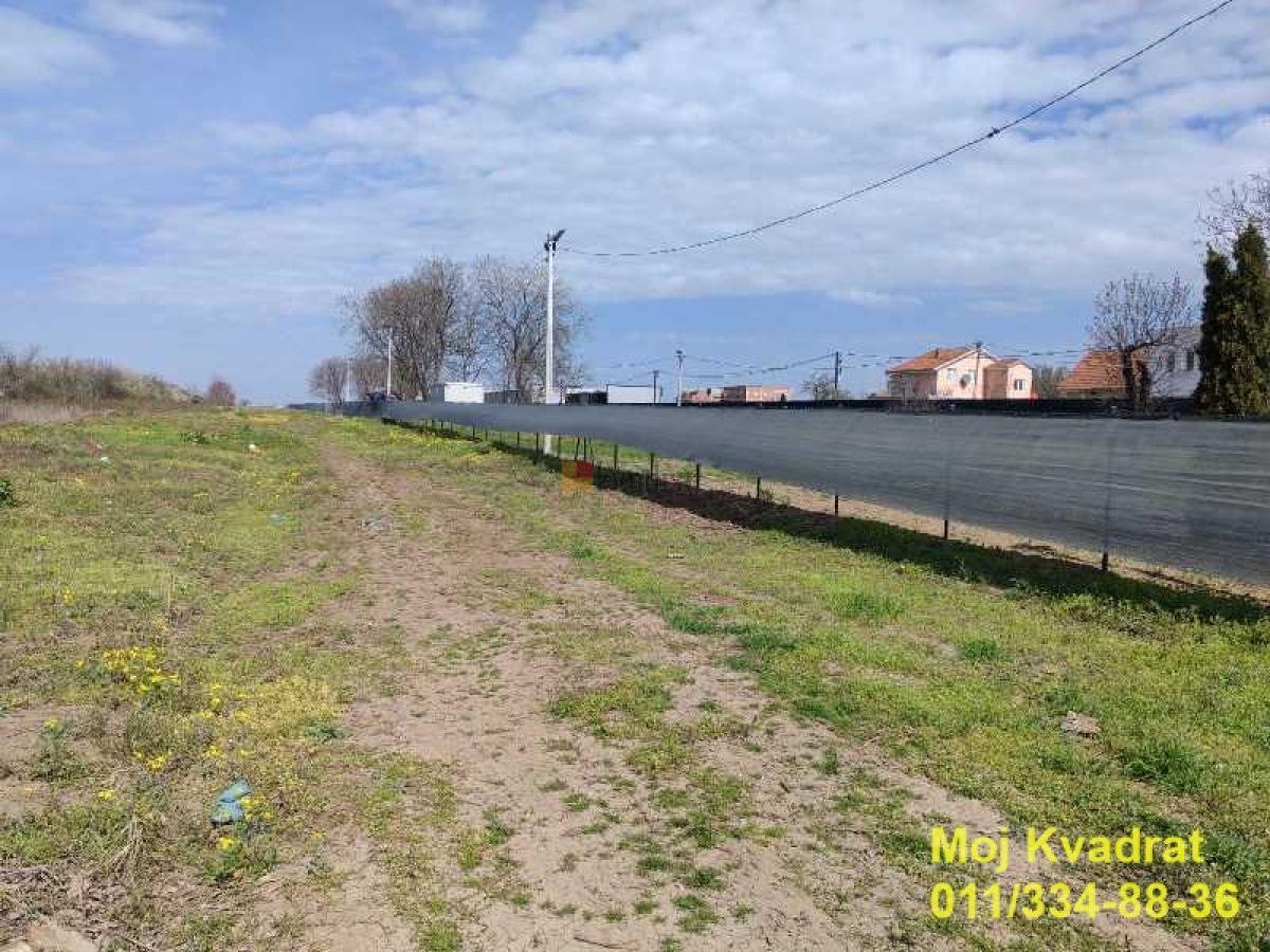 Surčin, Ledine - Vojvođanska, 57.60a