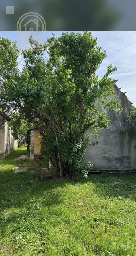 Futog Novi Sad Kuća 82m2 na placu 469m2, investicioni plac, uknjiženo