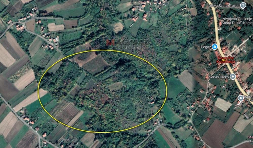 Kosmaj - Koraćica - 4 placa ID#1530