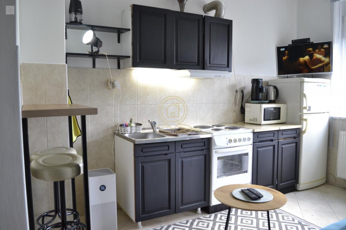 Izdavanje jednosobnog stana na Grbavici, 38m2, Pet friendly