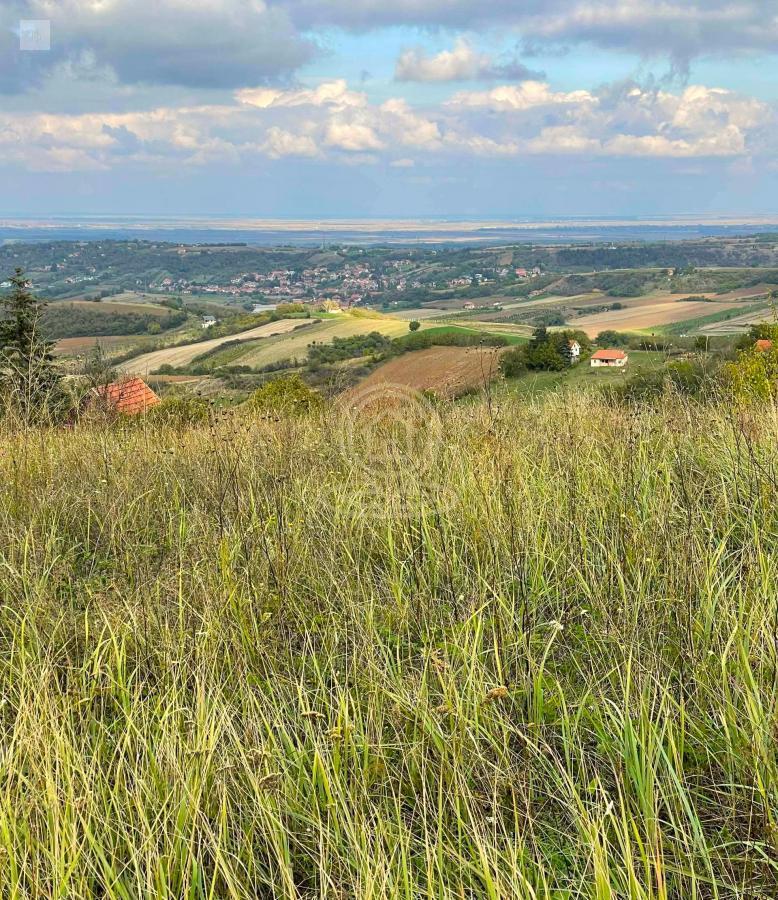 2500m² sa pogledom na grad, Alibegovac, Sremska Kamenica, Građevinski plac van granica GGZ