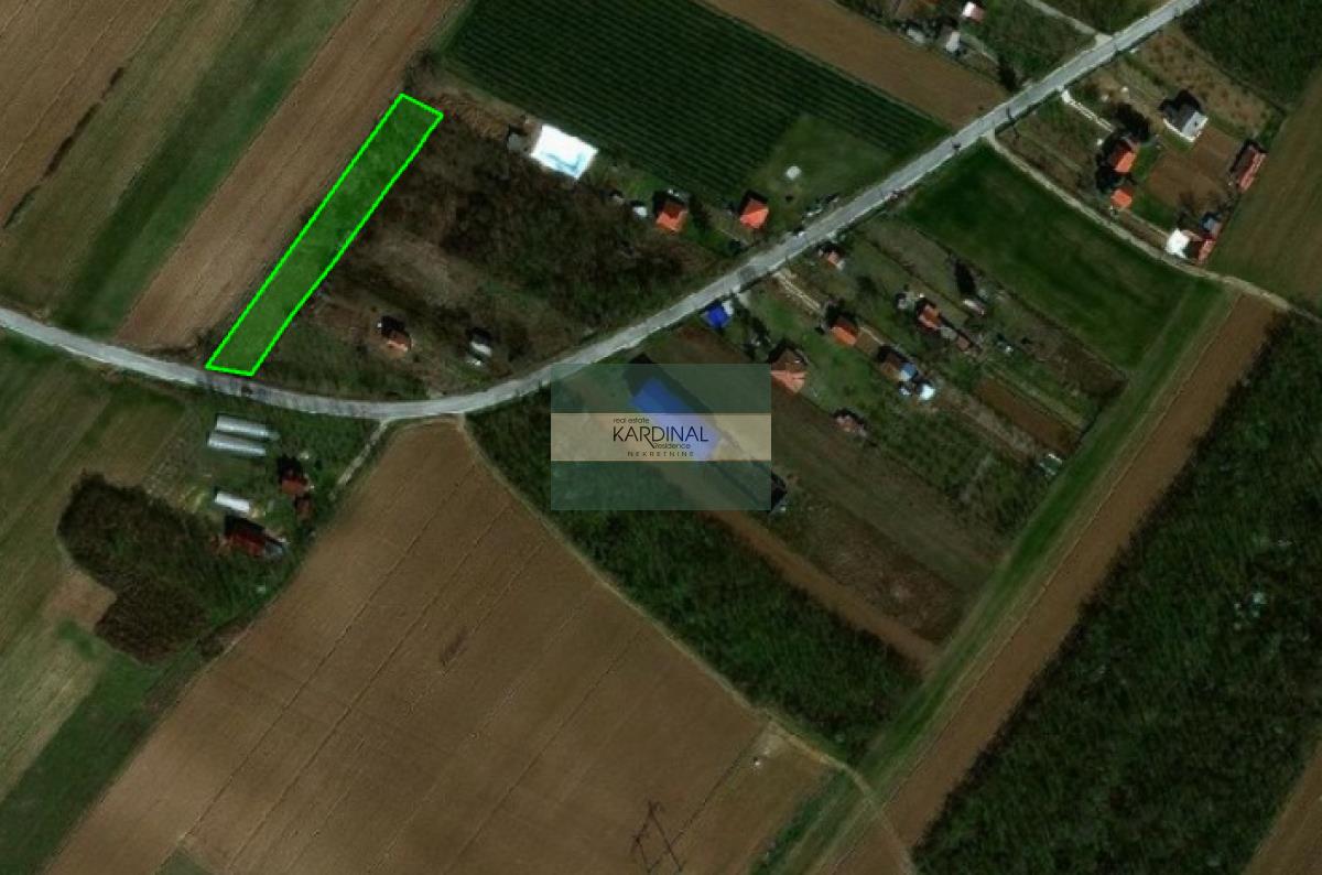 Plac u Vinorači, Jagodina, 19.32 a