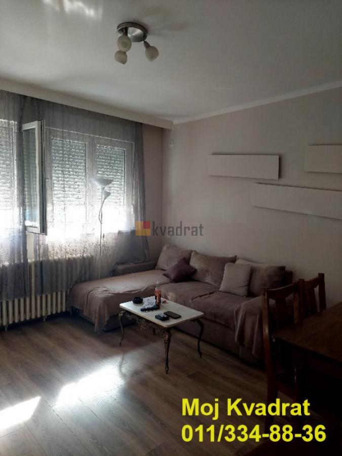 Palilula, Zira - Albanske spomenice, 42m2
