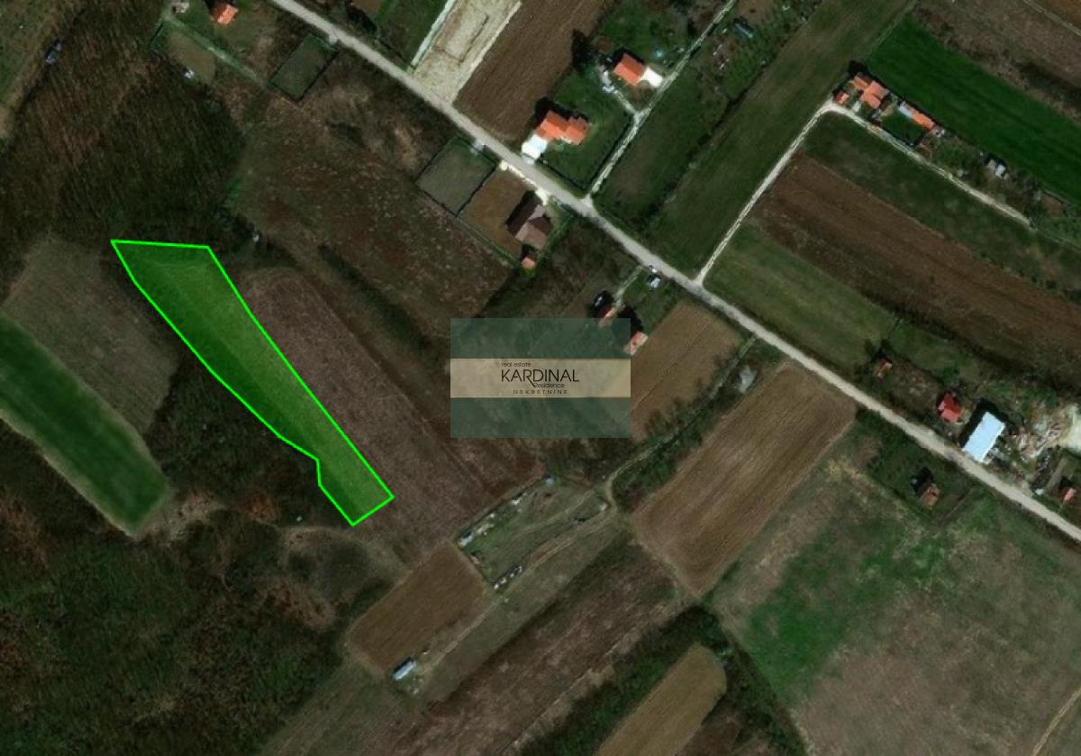 NA PRODAJU POLJOPRIVREDNO ZEMLJIŠTE – OKOLINA JAGODINE | 52,41 ari