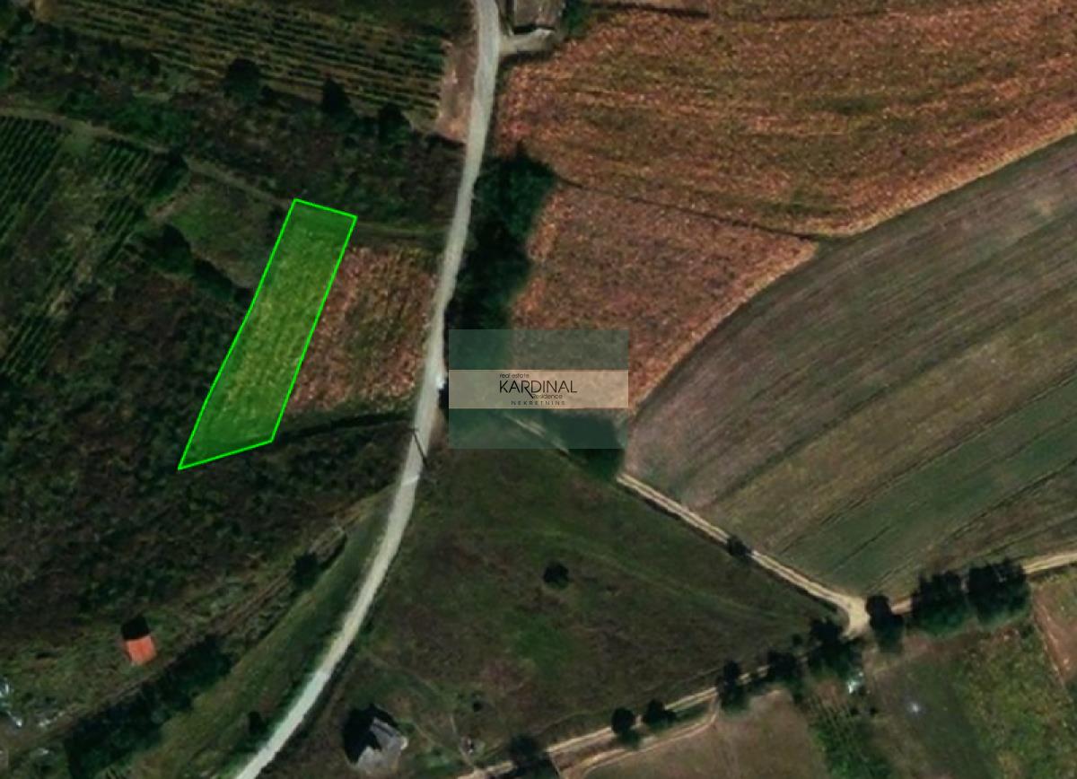 SNIŽENO! Idealna parcela 20,87a, Majur, Jagodina