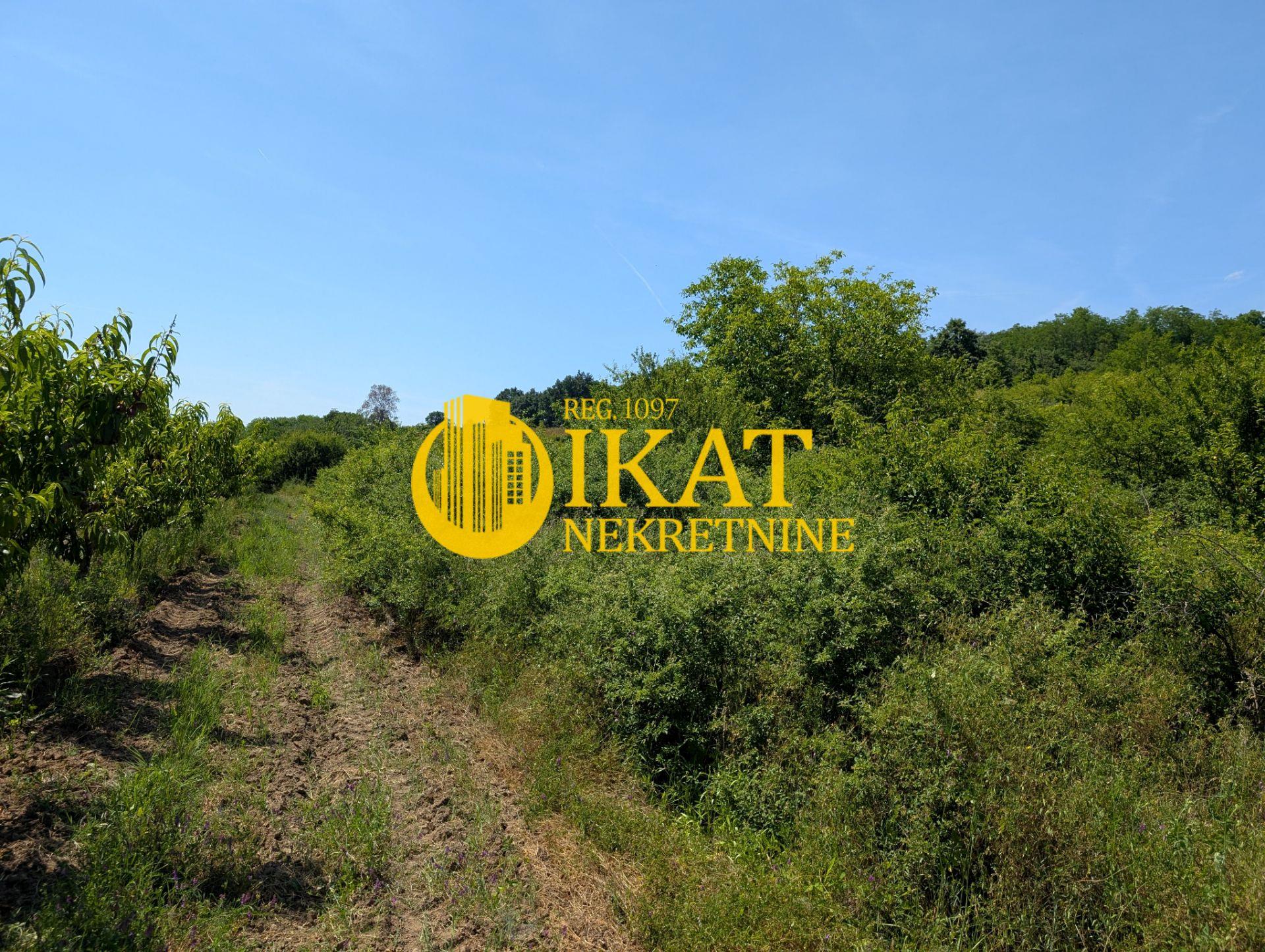 Mali Požarevac, plac 70 ari ID#5158