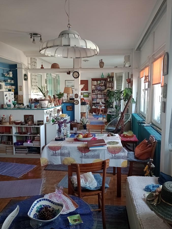 Vračar, Sime Igumanova, prelep stan-atelje