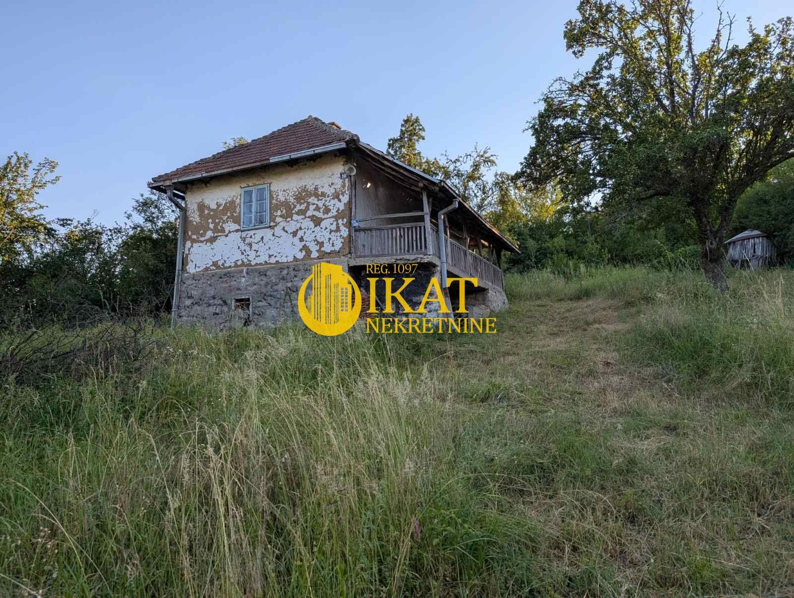 slika