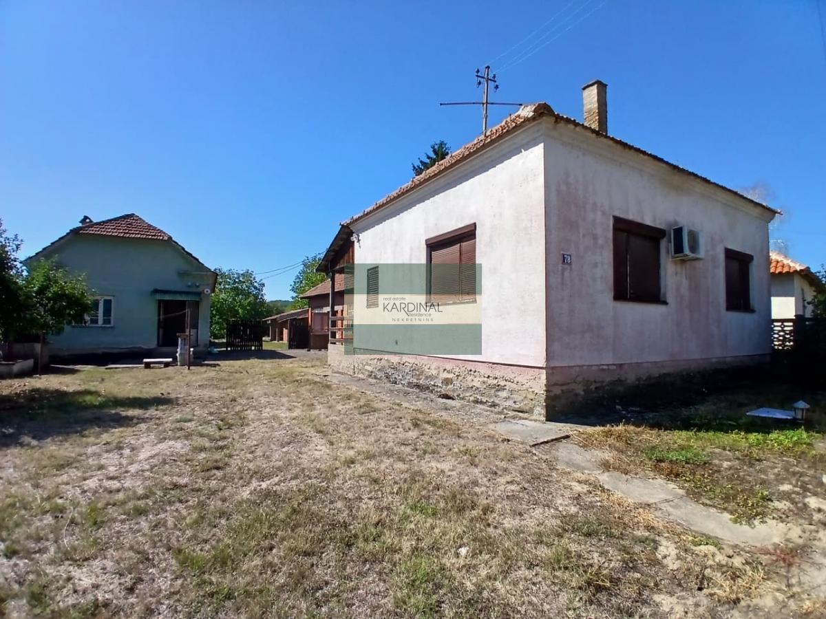 slika