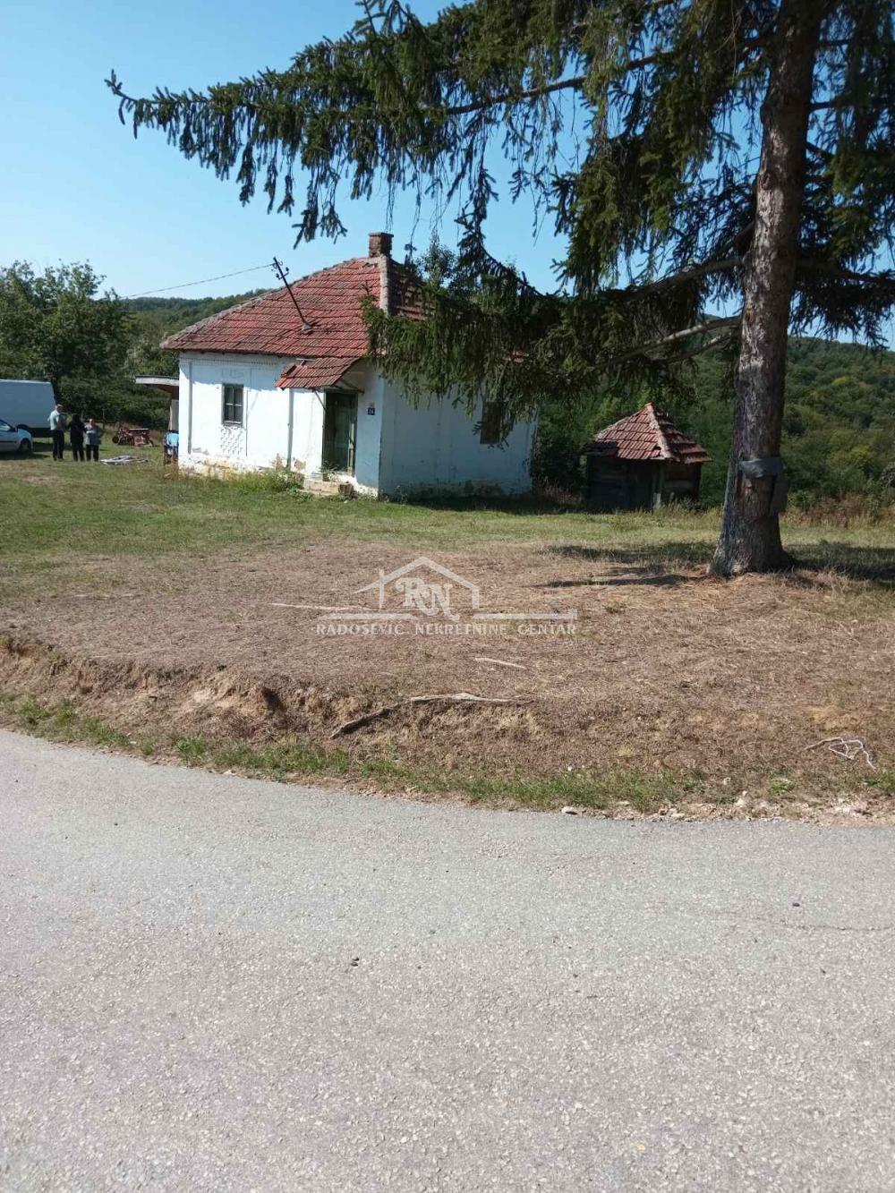 slika