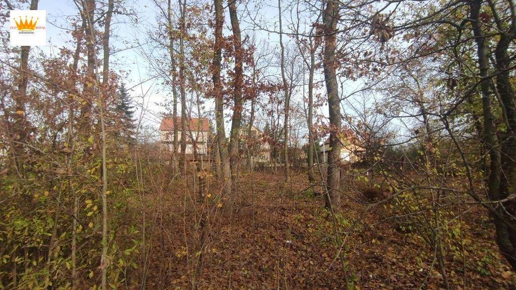 Bild 1392659