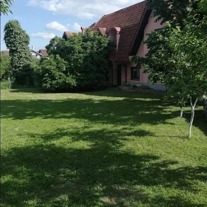 Bild 1683042